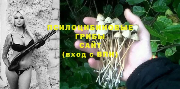 герыч Зеленокумск