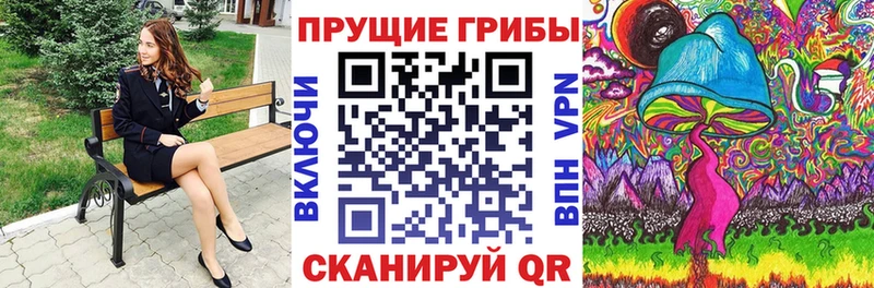 Псилоцибиновые грибы Psilocybine cubensis  Судак 